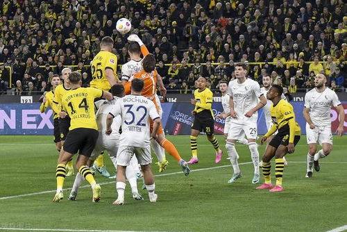 包含里尔客场逼平斯特拉斯堡，连胜势头受挫的词条