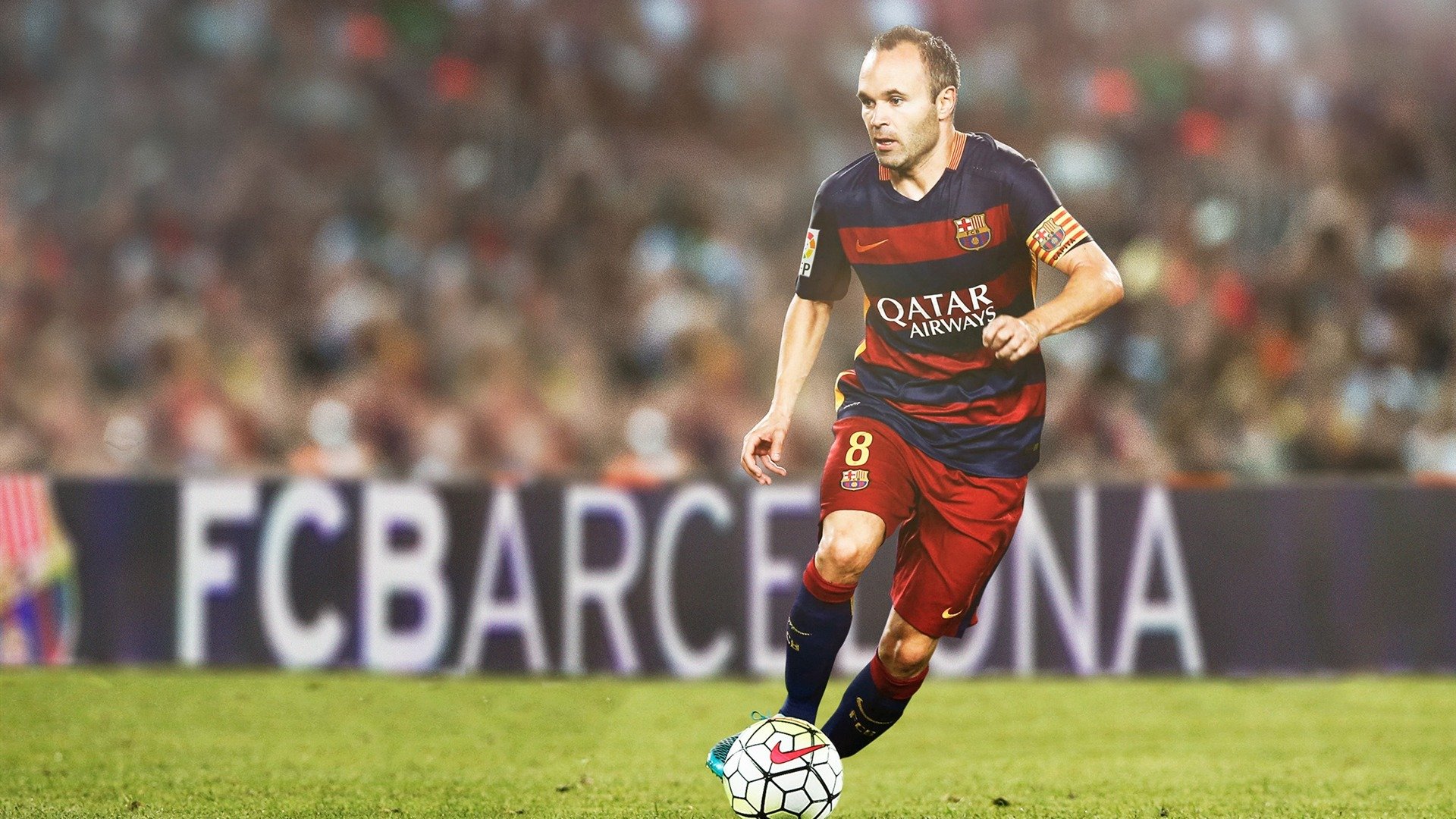 绝境中的蜂鸣,霍勒迪压力下的致命一击,黄蜂如何粉碎骑士神话